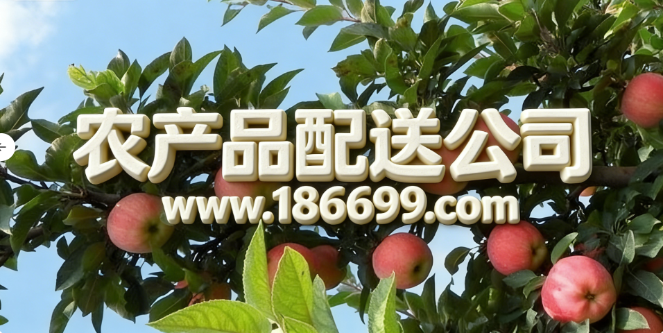 微信圖片_20251213204600_29_967.png