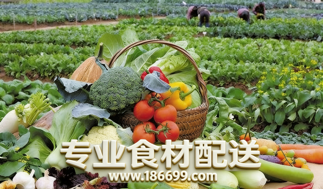 36f5f658-e1cf-4688-9475-5778008341d2.png